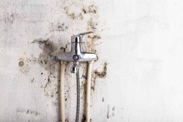 Best Water Damage Restoration  in Yorkshire, VA