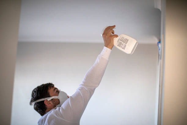 Best Mold Remediation Experts  in Yorkshire, VA