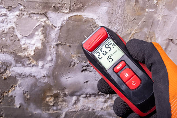 Best Certified Mold Removal  in Yorkshire, VA