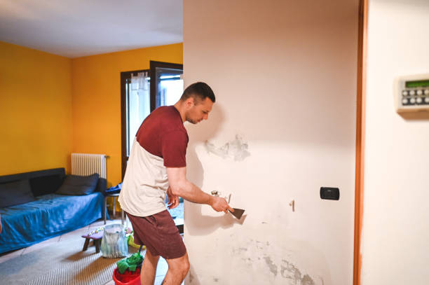 Best Residential Mold Removal  in Yorkshire, VA