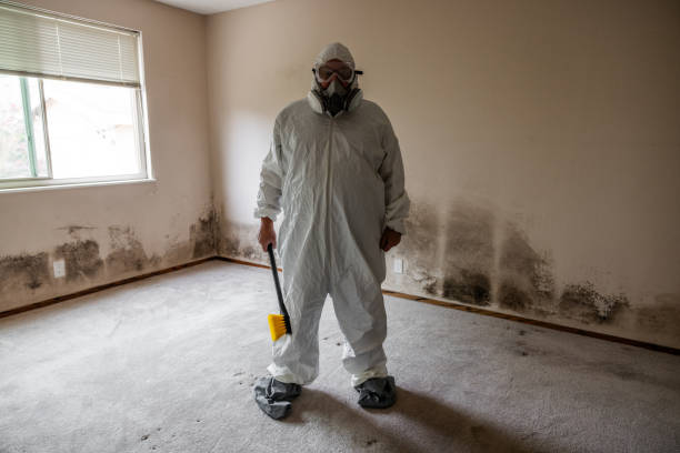 Best Home Mold Removal  in Yorkshire, VA